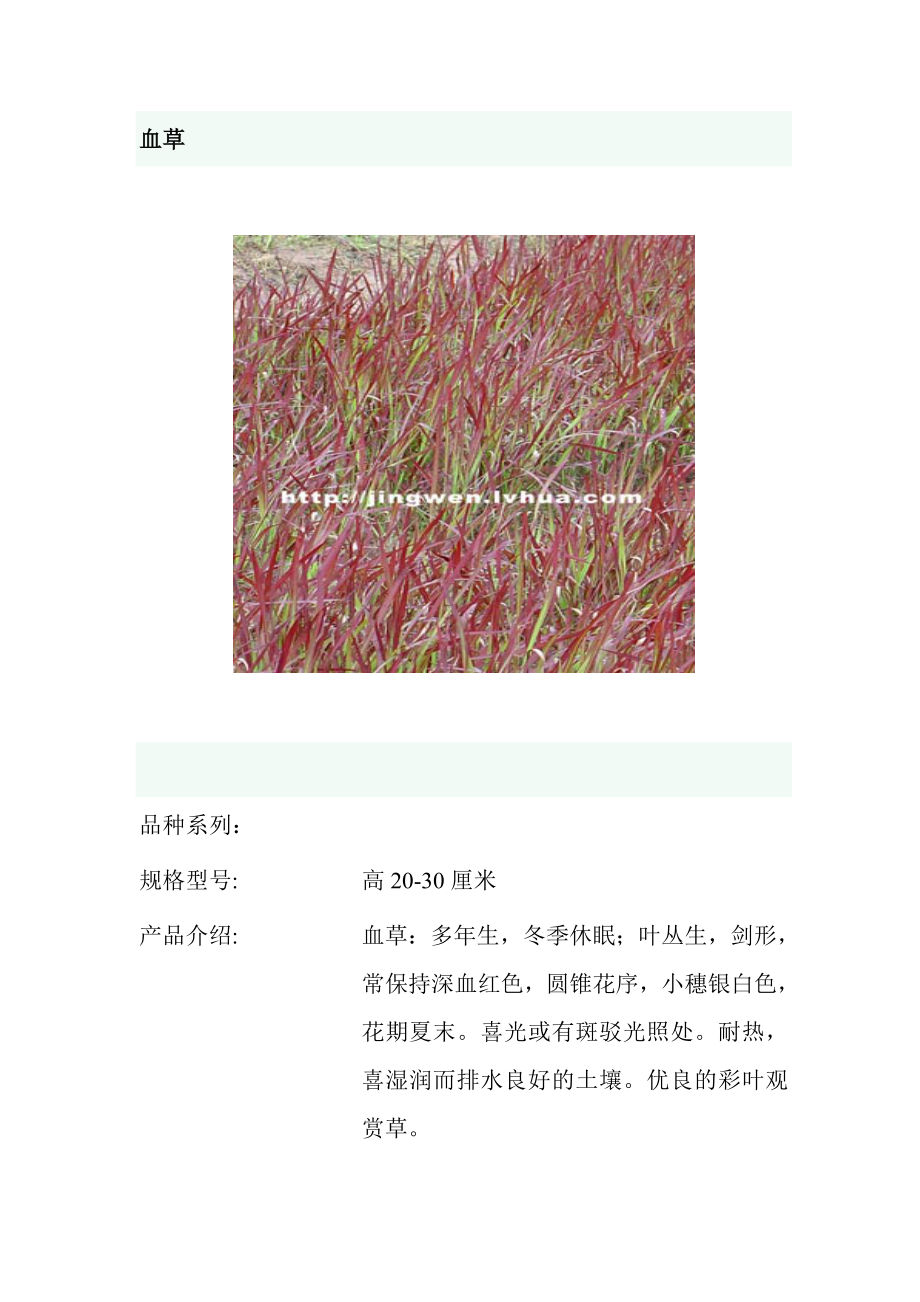 园林观赏草—图文并茂(1).docx_第1页