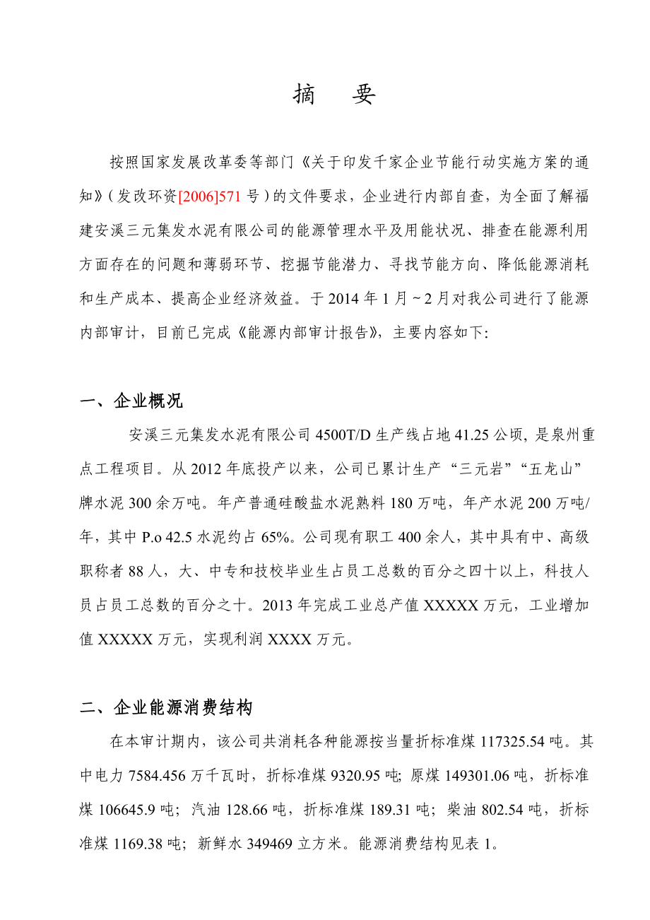 三元集发能源审计报告.docx_第2页