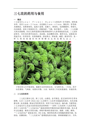 三七花的药用与食用(1).docx