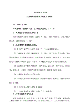 XX科技职业技术学院财务处内部控制体系建设项目周报.docx