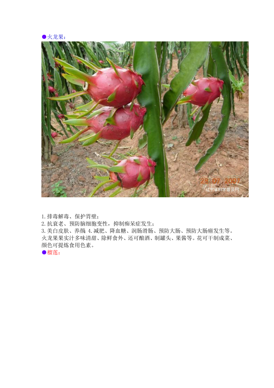 各种水果的药理功能.docx_第1页