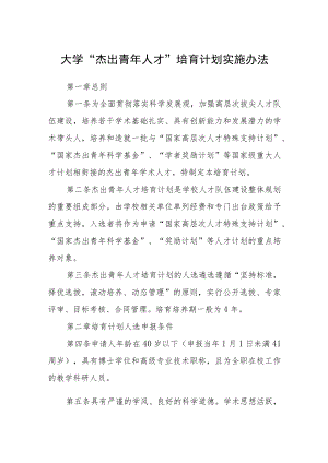 大学“杰出青年人才”培育计划实施办法.docx