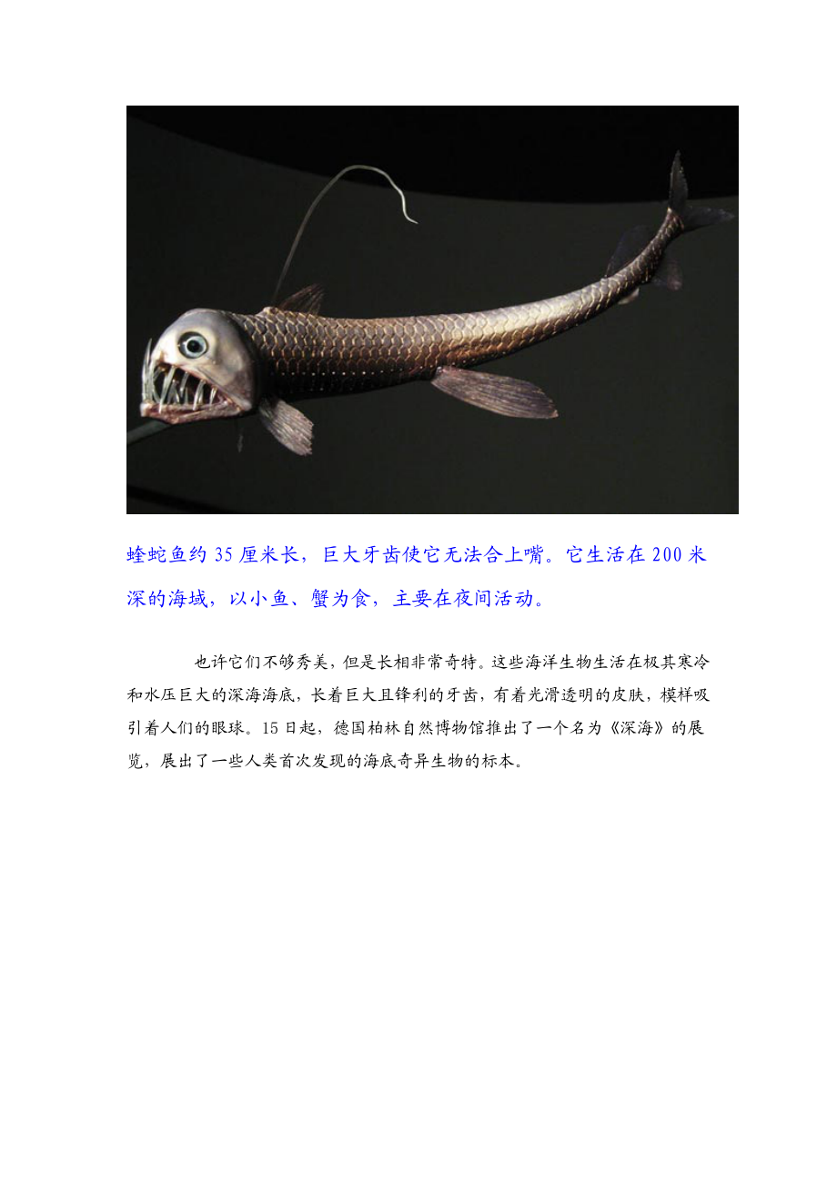 柏林深海奇异生物展无法合上嘴的蝰蛇鱼.docx_第2页