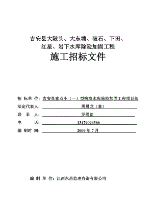 大东塘、破石、下田、红星、岩下水库除险加固工程招.docx