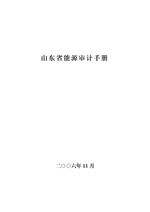 山东省能源审计手册.docx