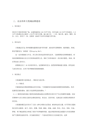 某商业地产品牌建设及广告传播.docx