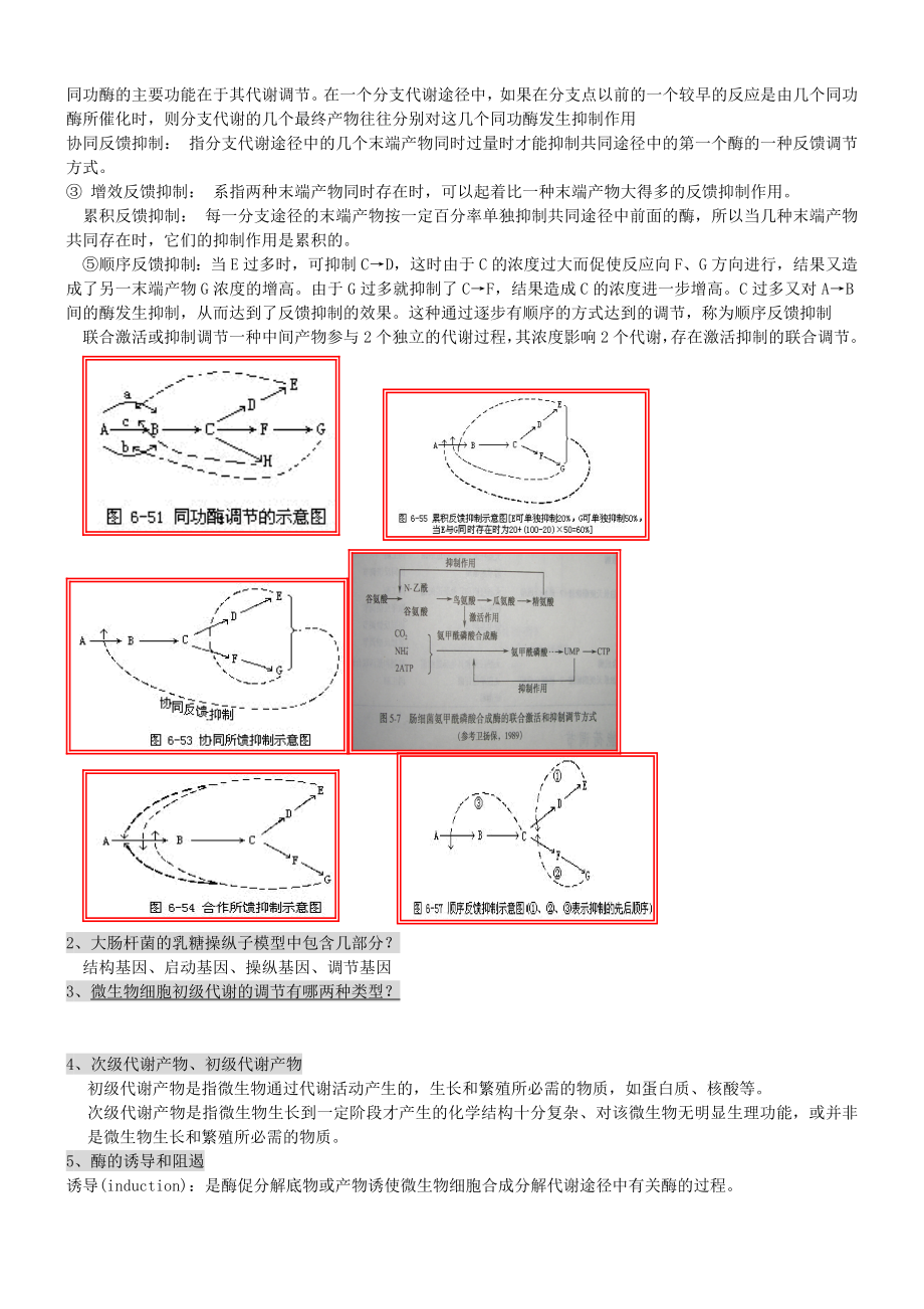 微生物工程期末复习习题及全部答案.docx_第2页