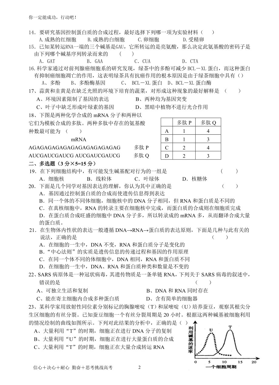 惠来慈云实验中学生物选科每周一测第四章基因的表达.docx_第2页