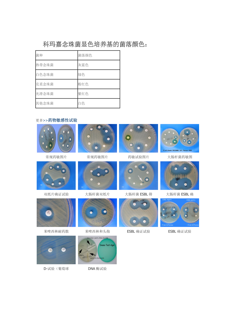 微生物图谱.docx_第1页