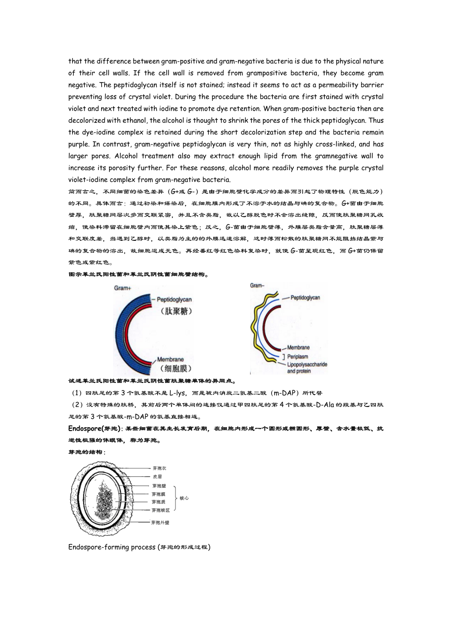 微生物学英文题库.docx_第2页