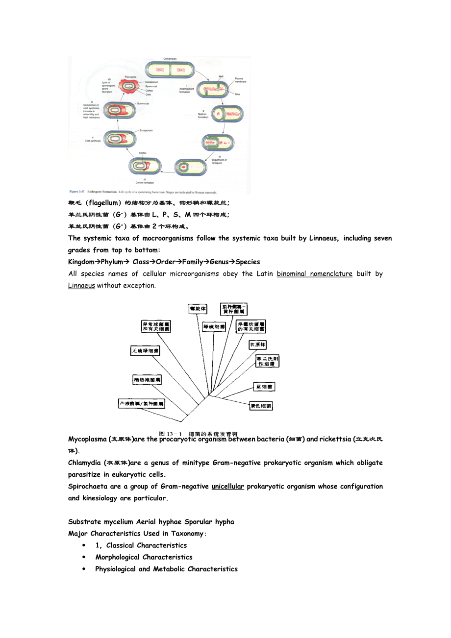 微生物学英文题库.docx_第3页