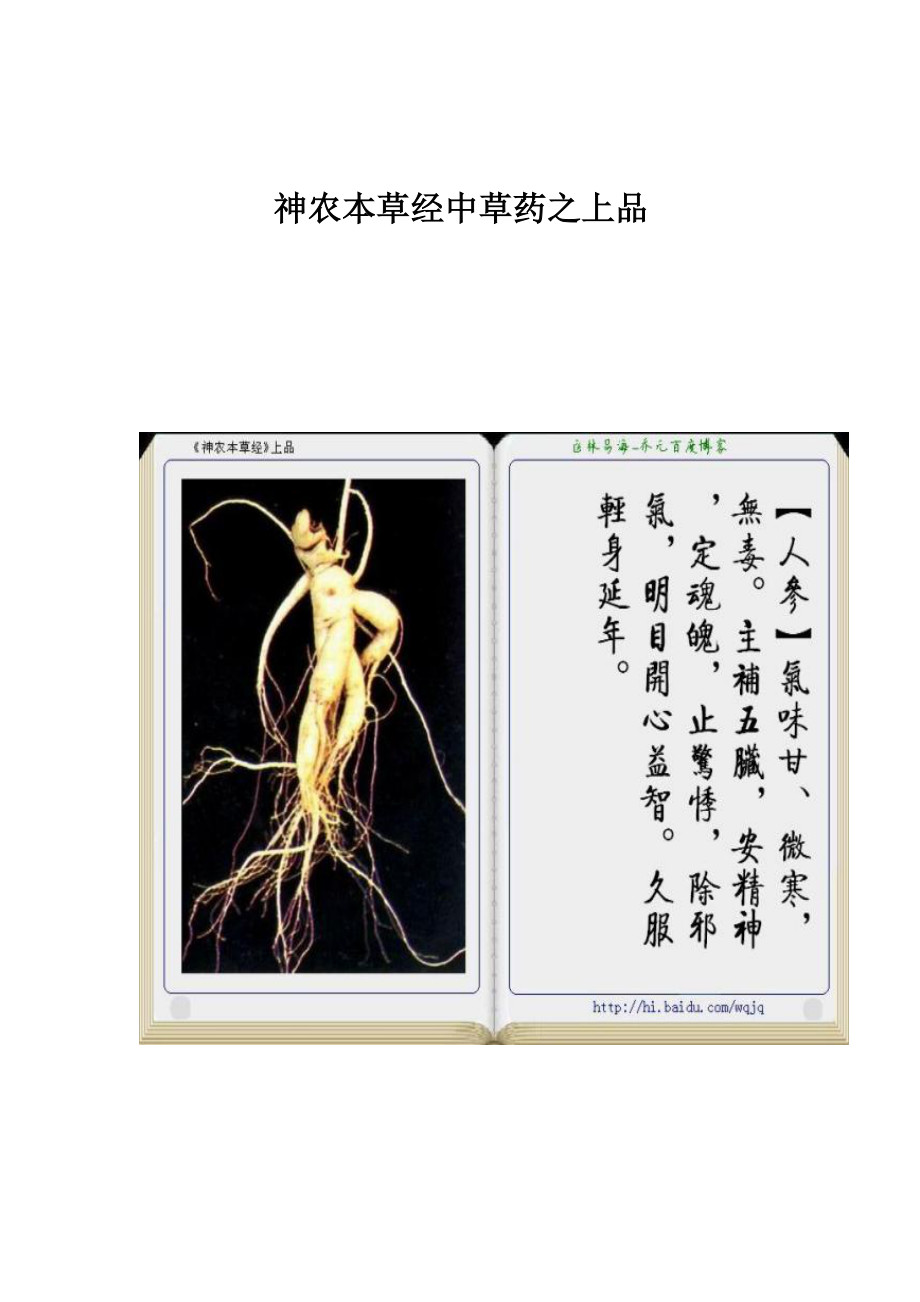 神农本草经中草药之上品.docx_第1页