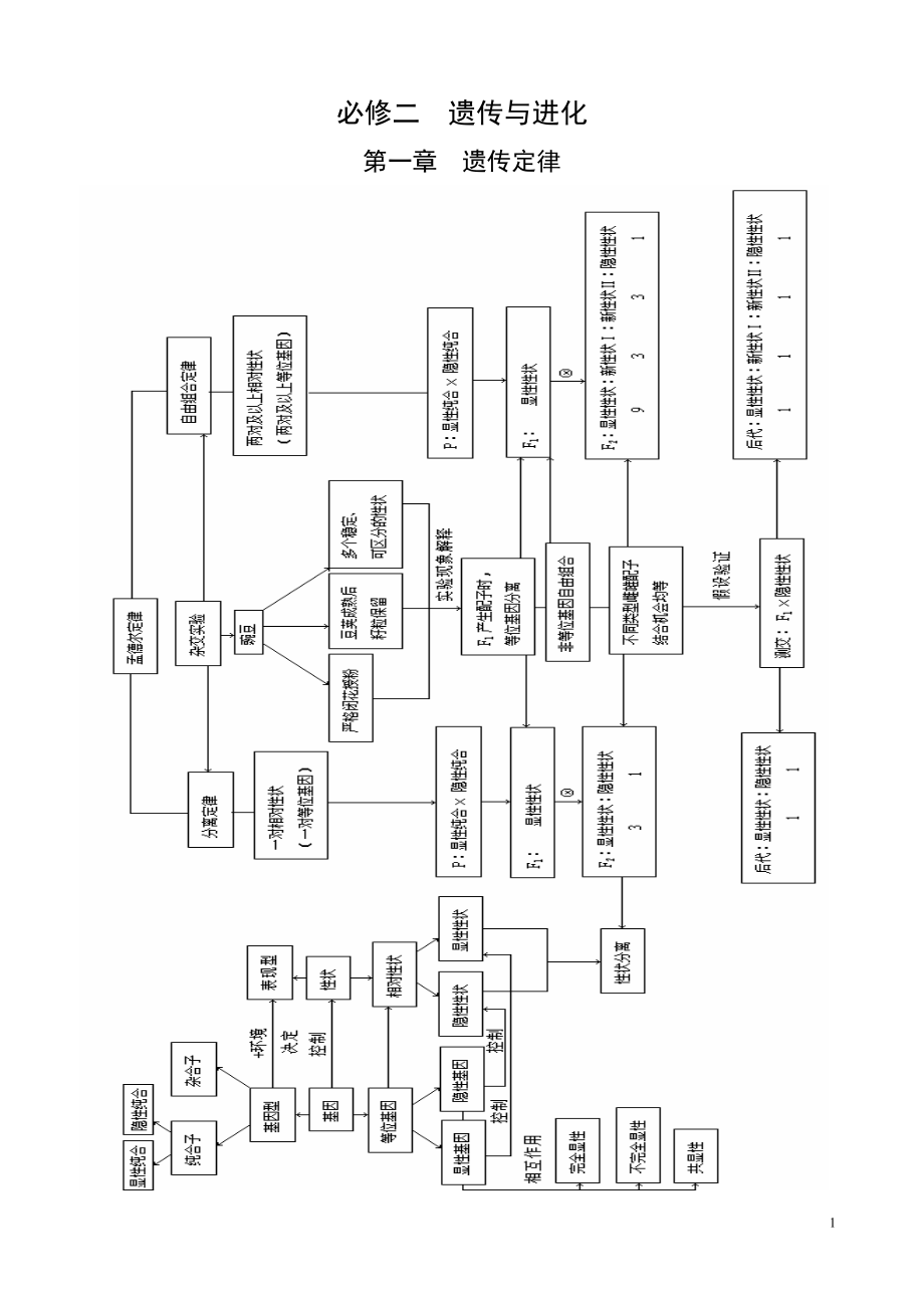 生物····必修二遗传与进化学案与答案.docx_第1页