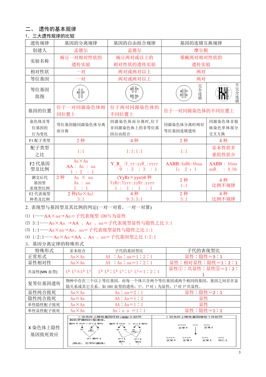 生物····必修二遗传与进化学案与答案.docx_第3页