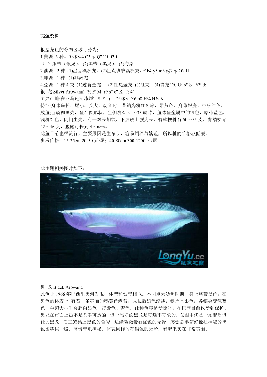 龙鱼相关资料简介.docx_第1页