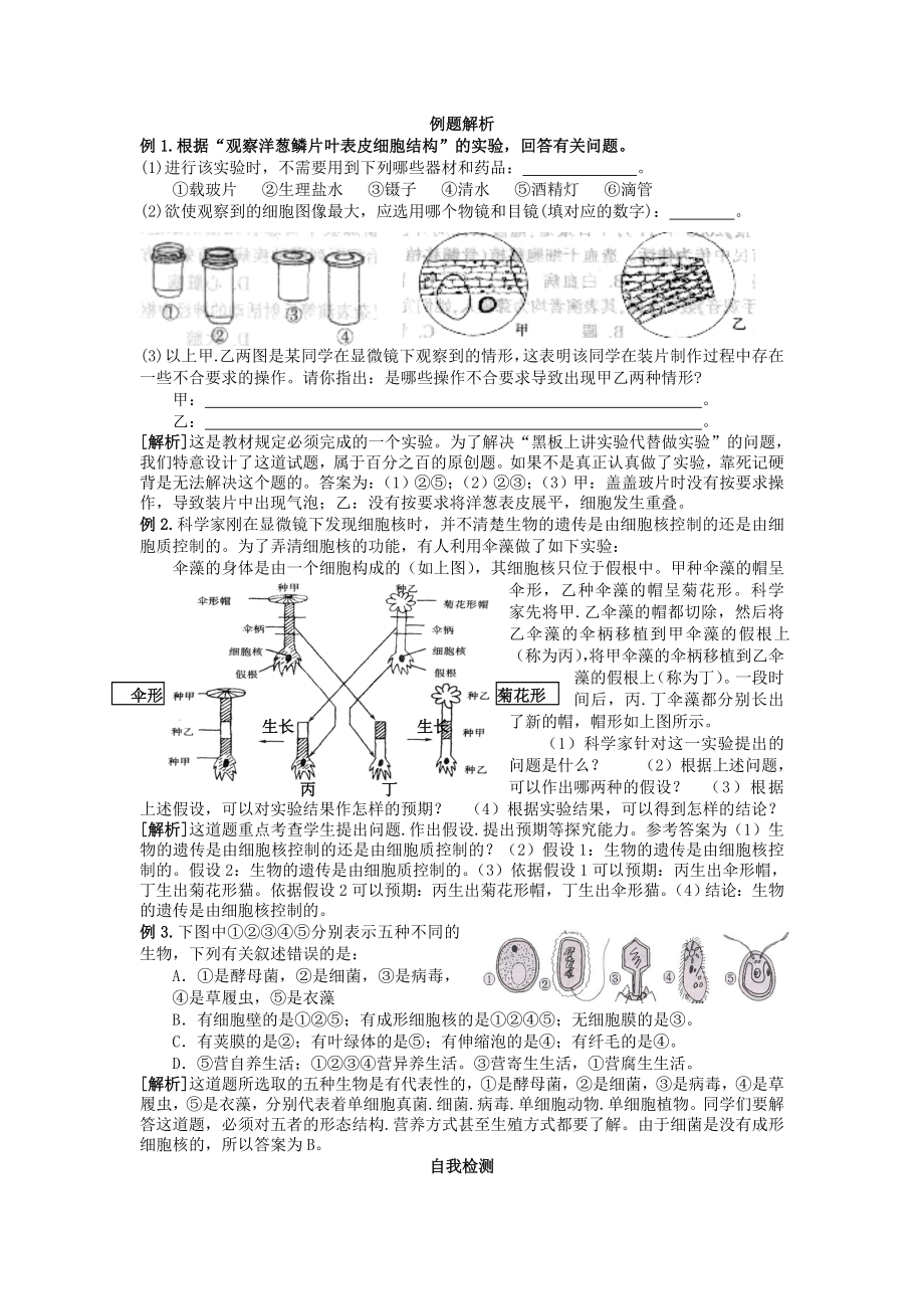 生物与细胞.docx_第2页