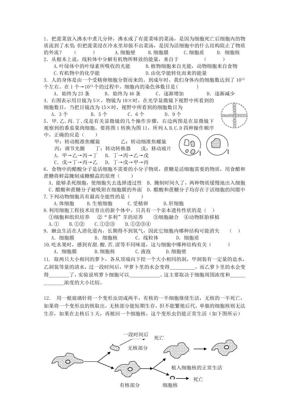 生物与细胞.docx_第3页