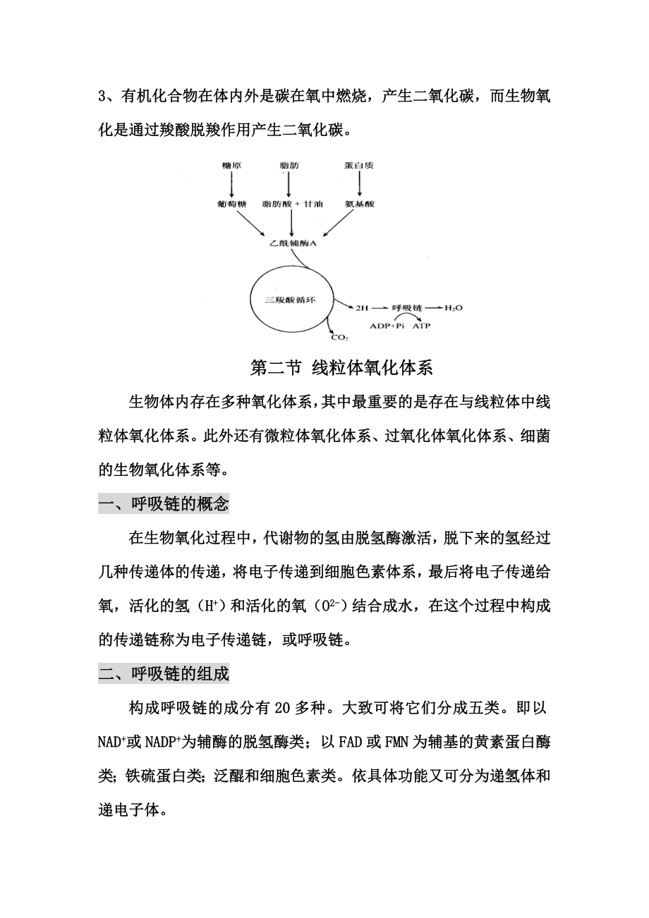 第七章生物氧化.docx_第2页