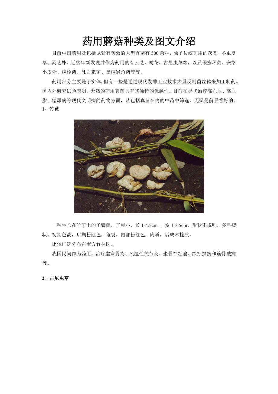 药用蘑菇种类及图文介绍.docx_第1页