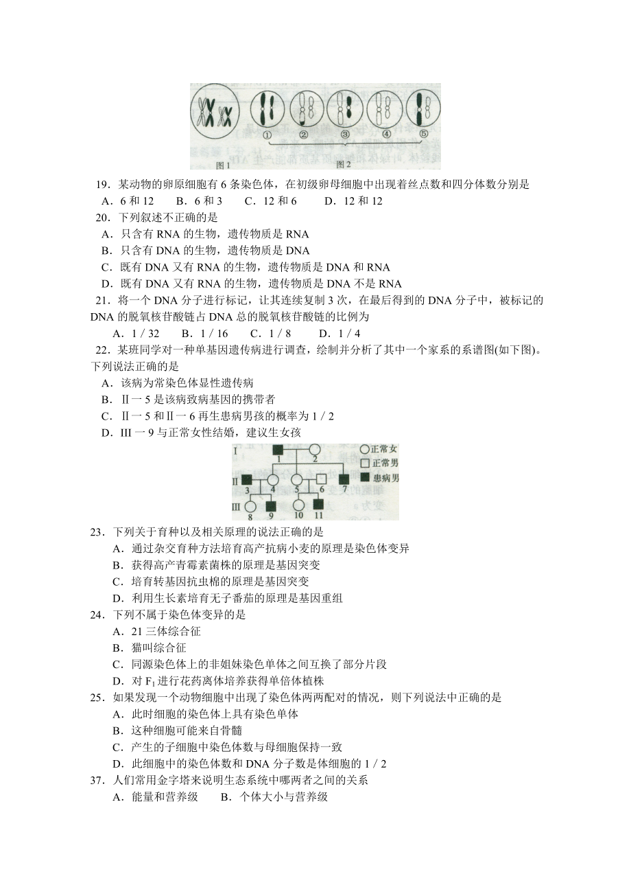 石家庄高三生物教学质量检测.docx_第3页