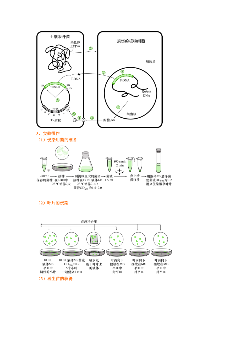 生物技术实验技能训练课-北大生命科学学院.docx_第3页