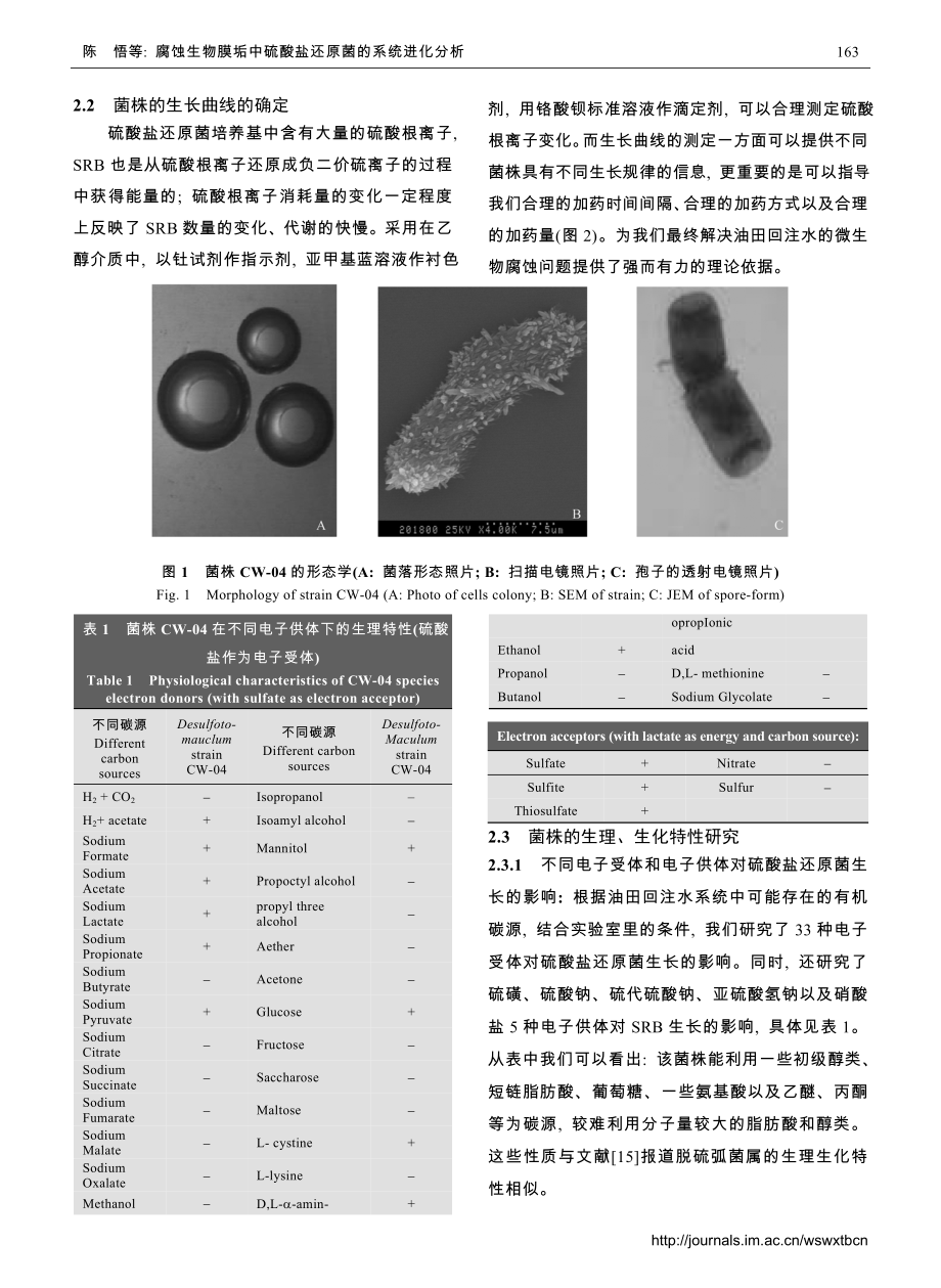 腐蚀生物膜垢中硫酸盐还原菌的系统进化分析.docx_第3页