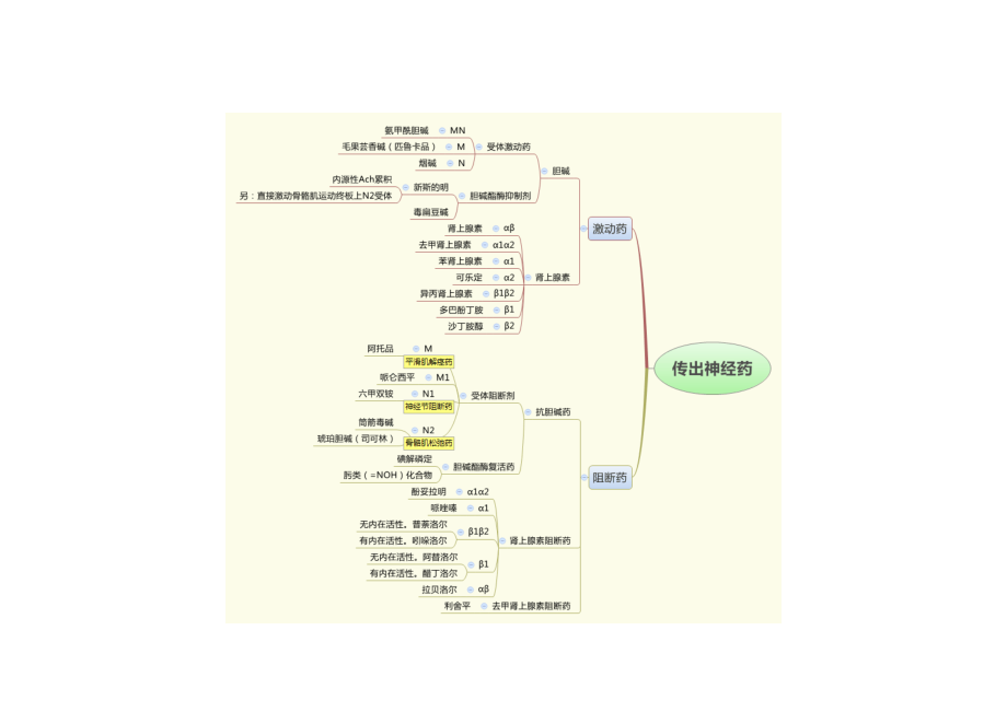 药理学思维导图.docx_第2页