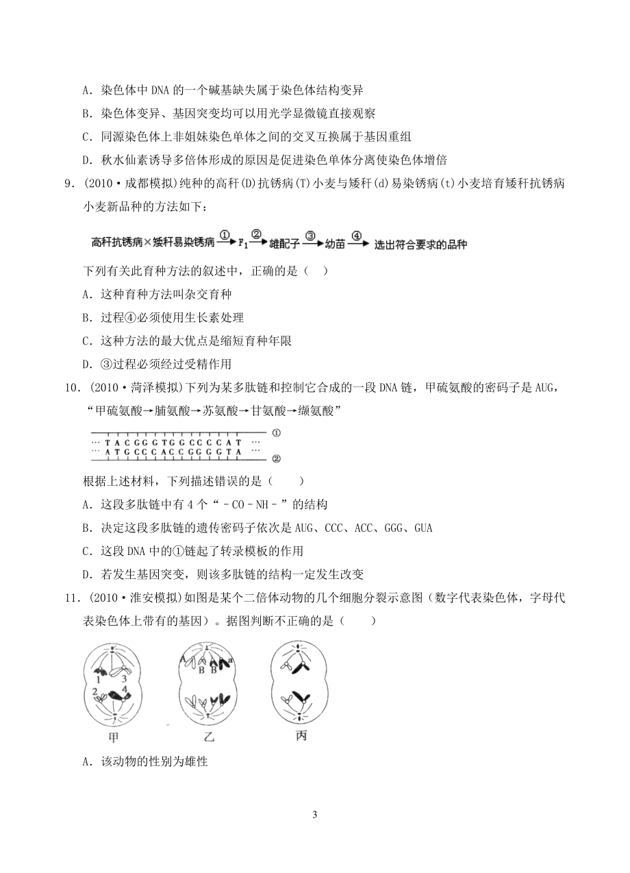 考点10生物的变异及育种.docx_第3页