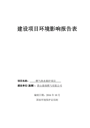 港瑞燃气锅炉项目报告表.docx