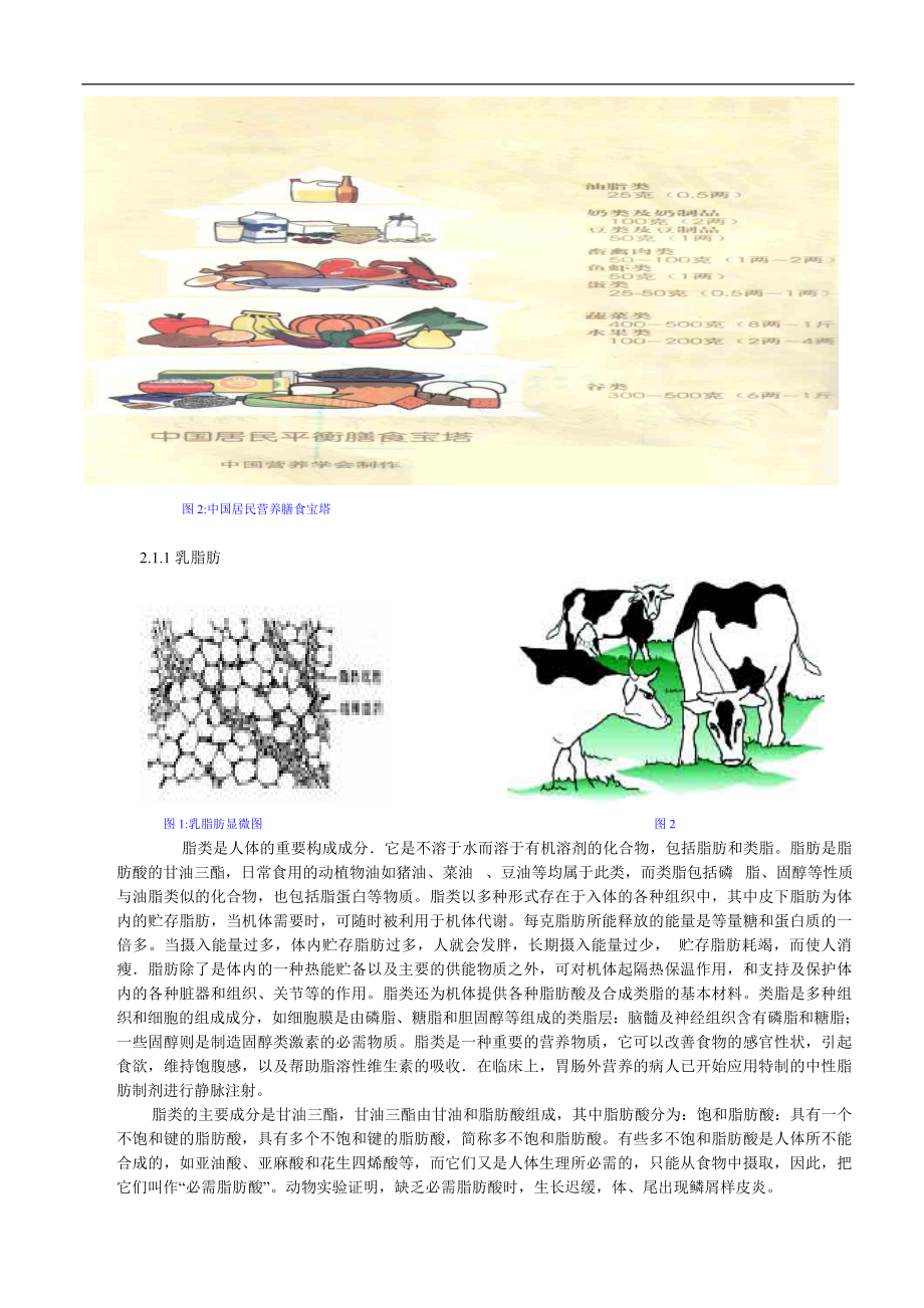 牛奶营养知识.docx_第2页