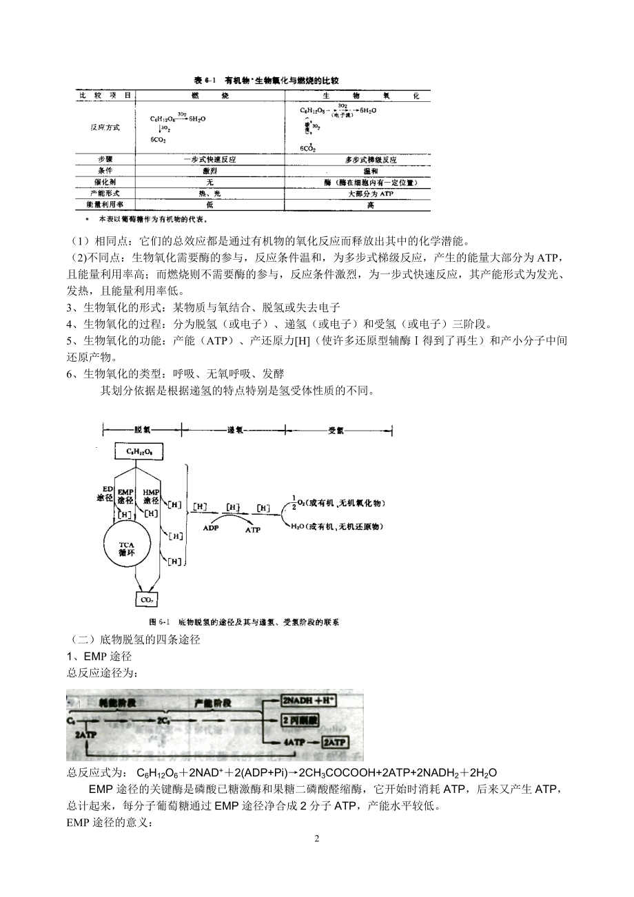 第五章微生物的新陈代谢.docx_第2页