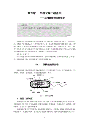 生物化学工程基础.docx