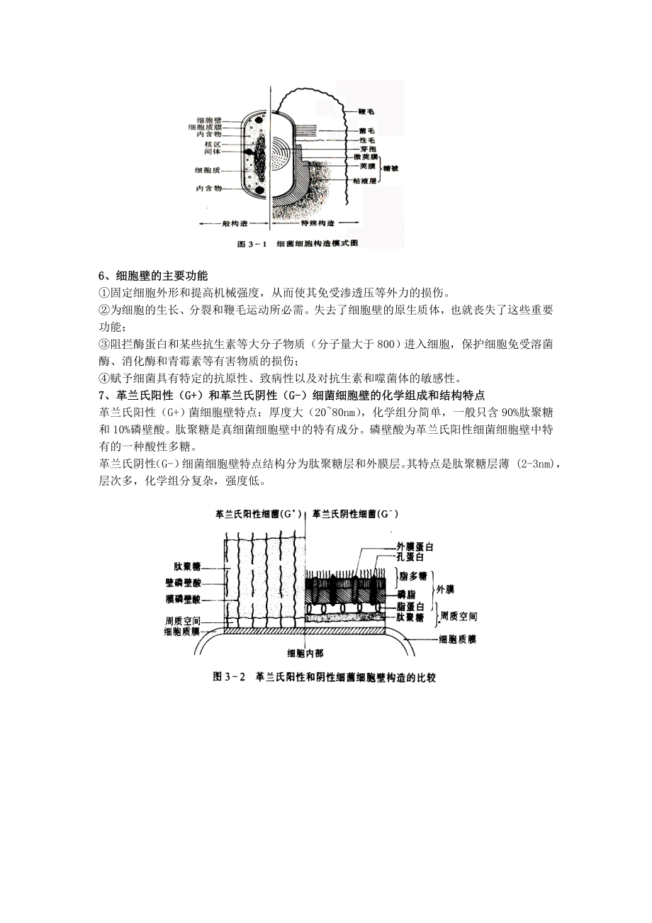 第三章微生物细胞的类群.docx_第2页