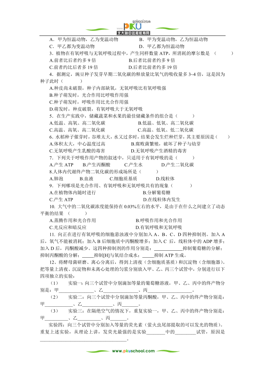 生物的呼吸作用.docx_第3页