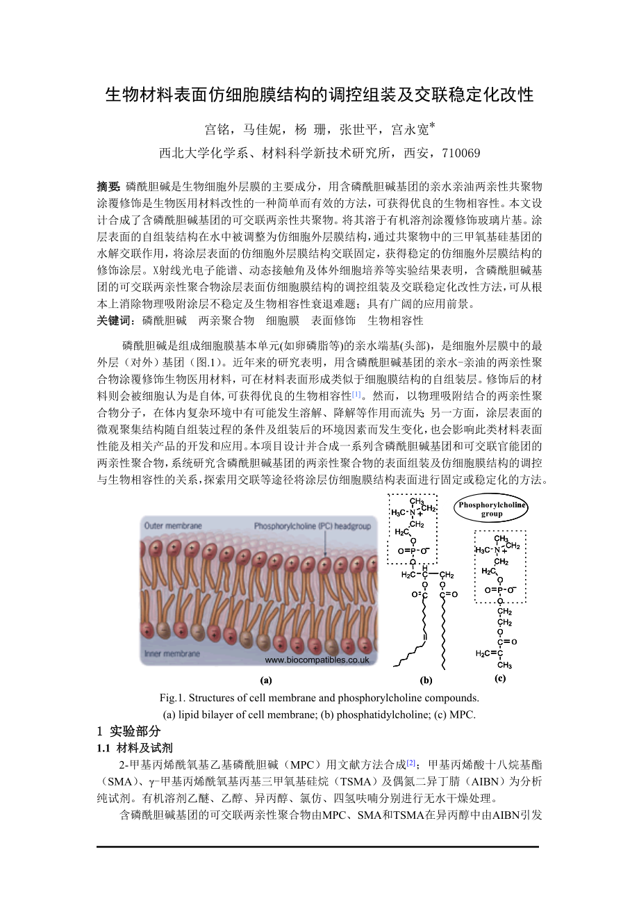 生物材料表面仿细胞膜结构的调控组装及交联稳定化改性.docx_第1页