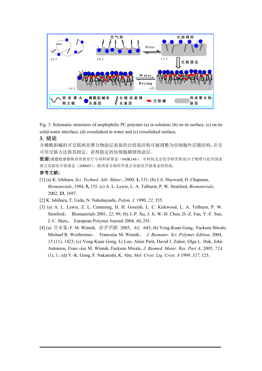 生物材料表面仿细胞膜结构的调控组装及交联稳定化改性.docx_第3页