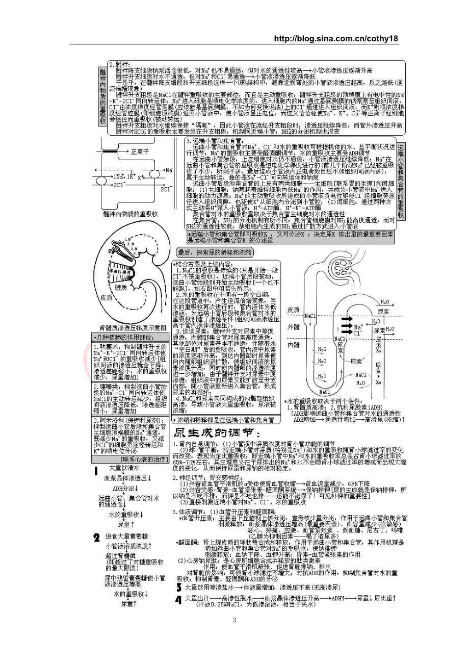 西医综合·泌尿系统疾病(生理+病理+内科+外科).docx_第3页