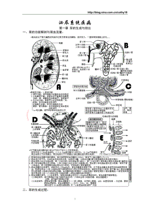 西医综合·泌尿系统疾病(生理+病理+内科+外科).docx