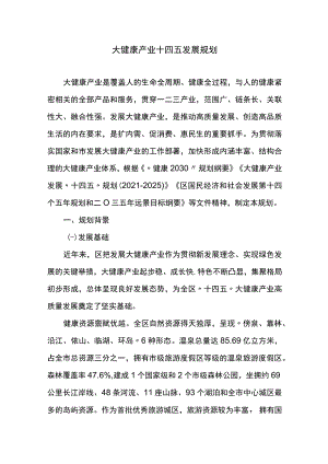 大健康产业十四五发展规划.docx