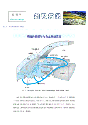 第五章传出神经系统药理概论.docx