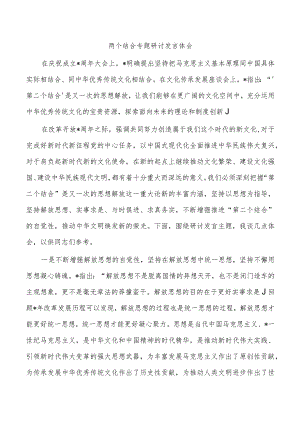 两个结合专题研讨发言体会.docx