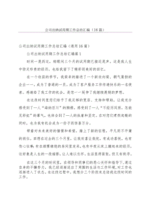 公司出纳试用期工作总结汇编（16篇）.docx