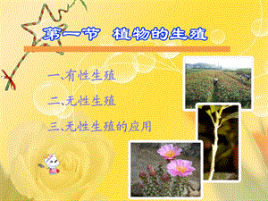 植物的生殖51 .ppt