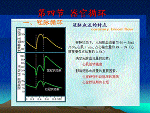 循环生理器官循环.ppt