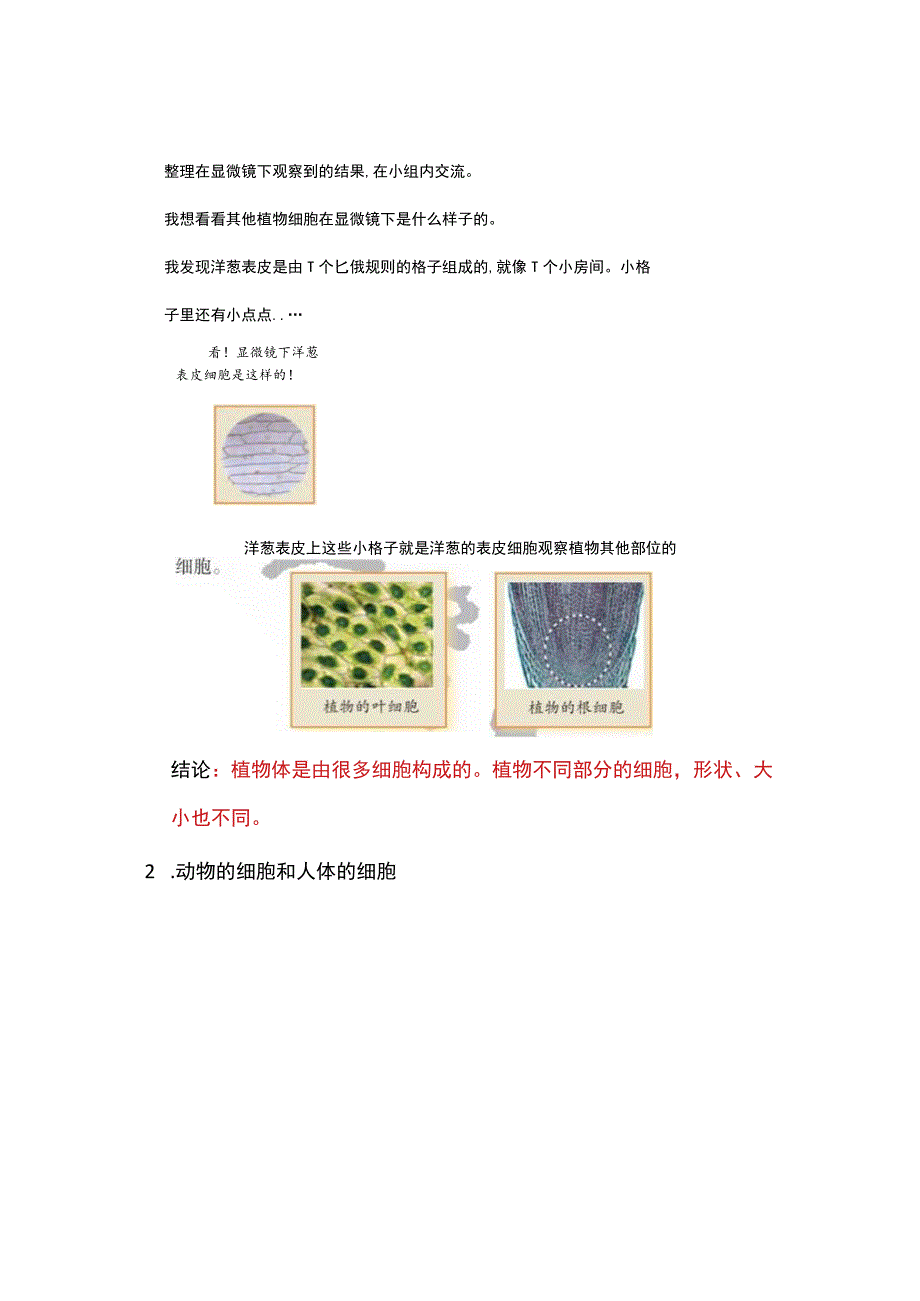 2023新大象版（河南版）科学六年级上册全册各课时知识点.docx_第2页