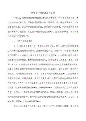 镇综合行政执法工作总结.docx