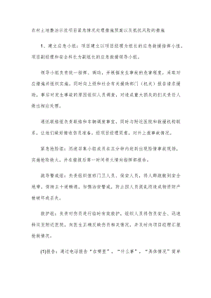 农村土地整治示范项目紧急情况处理措施预案以及抵抗风险的措施.docx