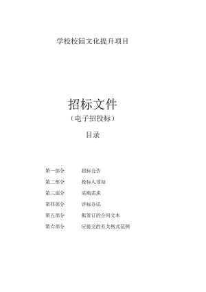 学校校园文化提升项目招标文件.docx