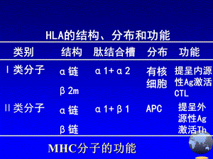 第0910章淋巴细胞.ppt