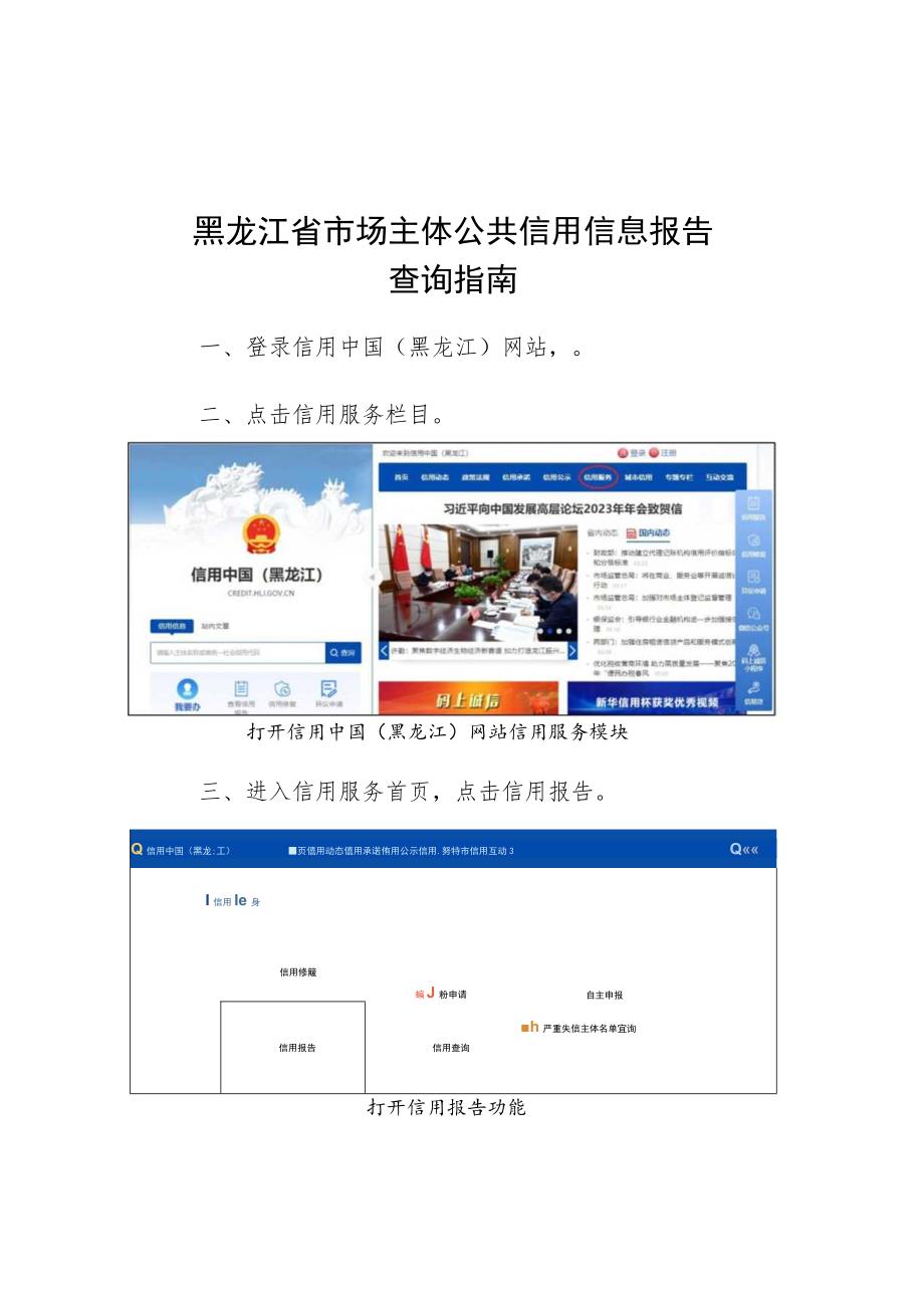 黑龙江省市场主体公共信用信息报告查询指南.docx_第1页